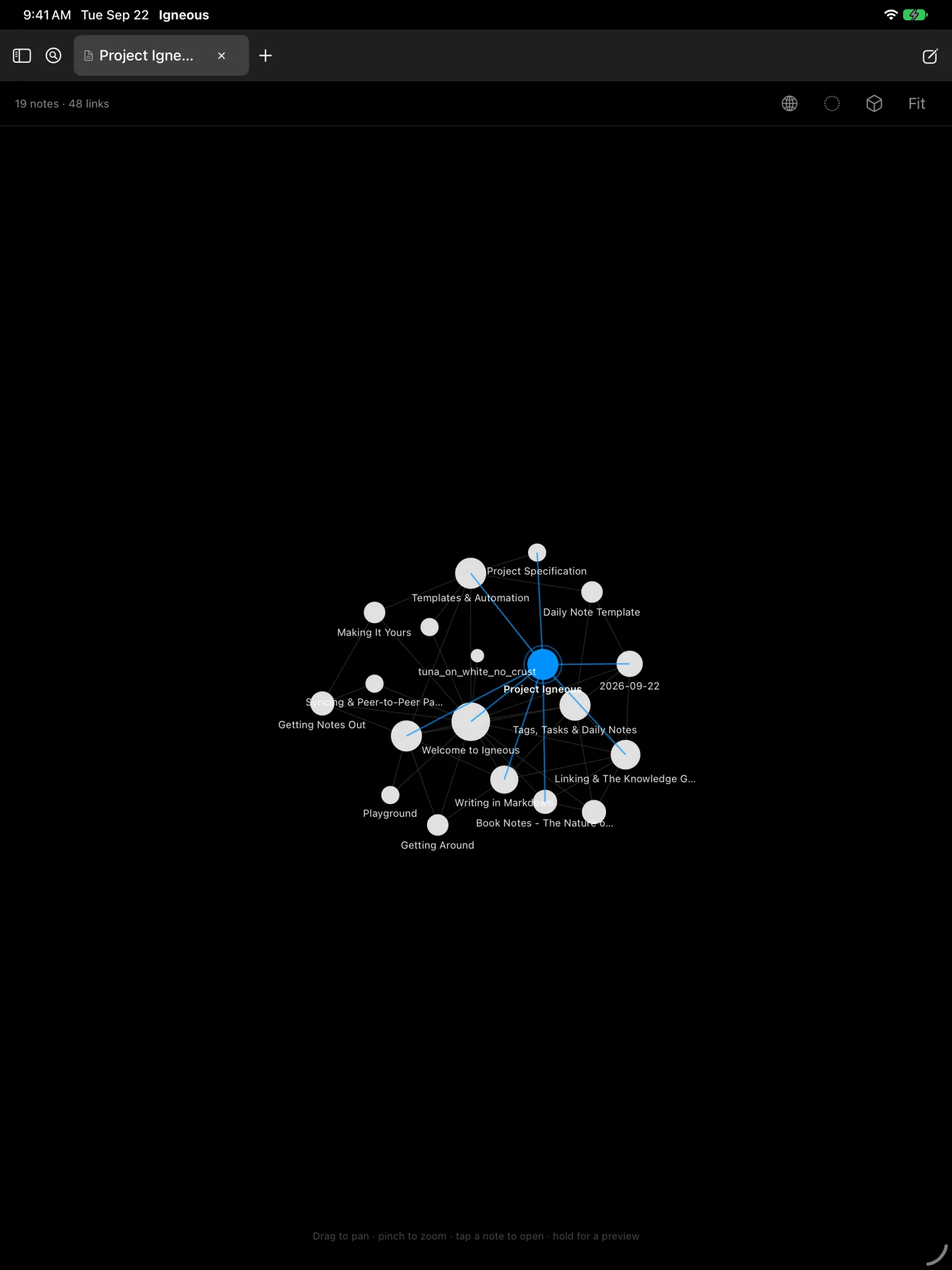 The graph view on iPad, centred on Project Igneous with its connections highlighted.